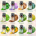 12*0.17oz Essential Oil Set for Essential Oil