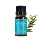 12 Flavors Essential Oils