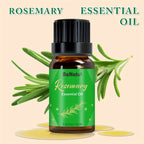 12 Flavors Essential Oils