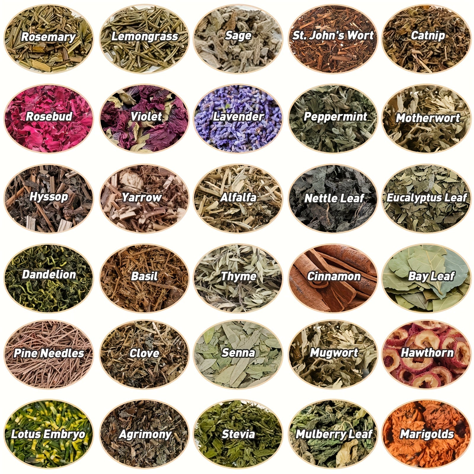 43pcs Herbs And Flowers Supplies Kit