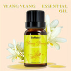 12 Flavors Essential Oils