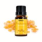 12 Flavors Essential Oils