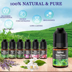 Essential Oils Set, 24 Scents Fragrance Oil for Candle Soap Making