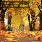 Fragrance Oils, Autumn Set Of 6 Premium Essential Oils