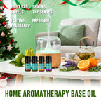 12*0.17oz Oil Essential Oils Set