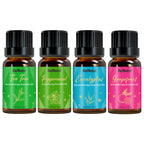 12 Flavors Essential Oils