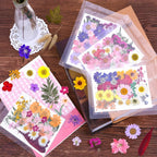 140pcs Premium Pressed Dried Flower Kit
