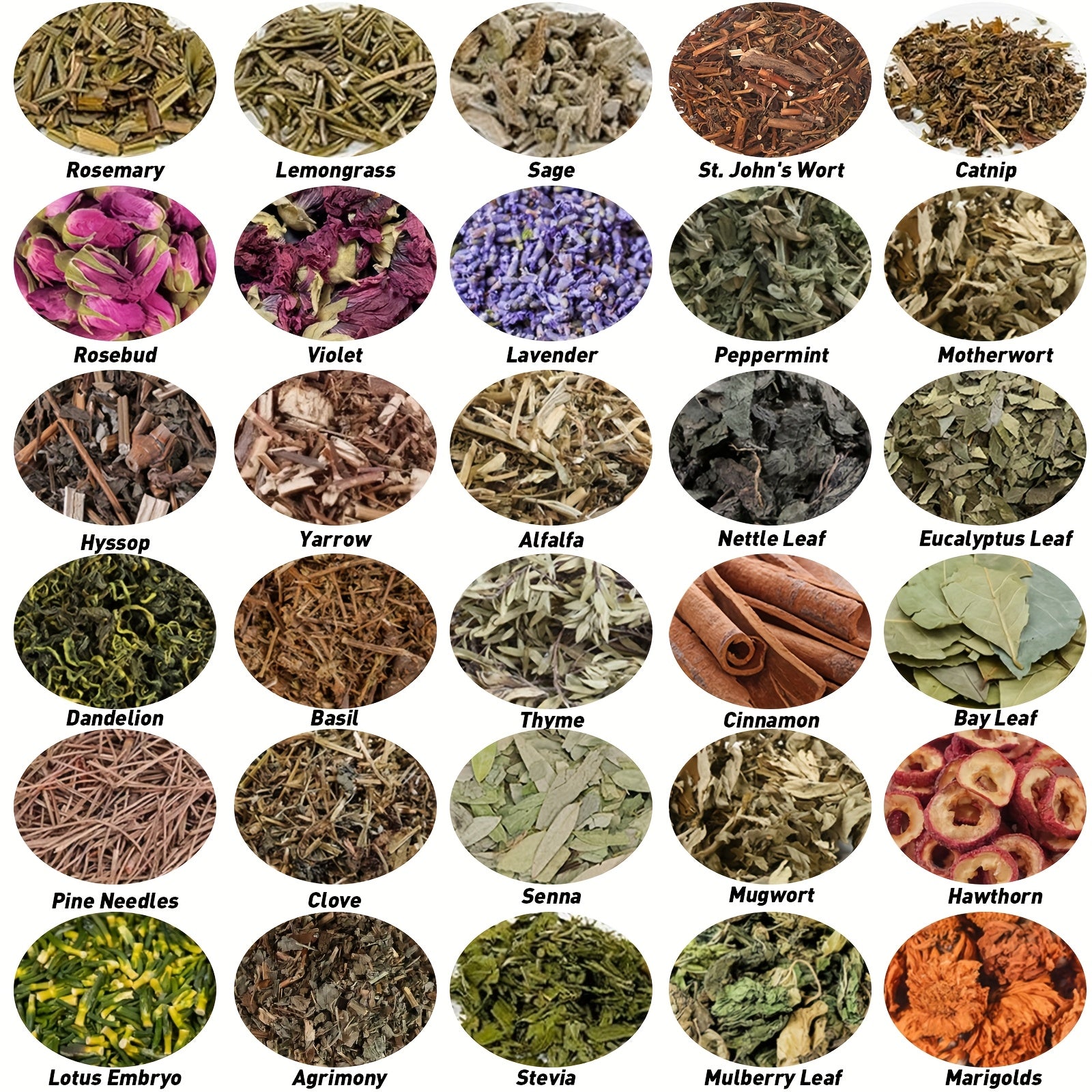 43pcs Herbs And Flowers Supplies Kit