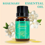 12 Flavors Essential Oils