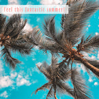 14x0.34oz Summer Fragrance Oil