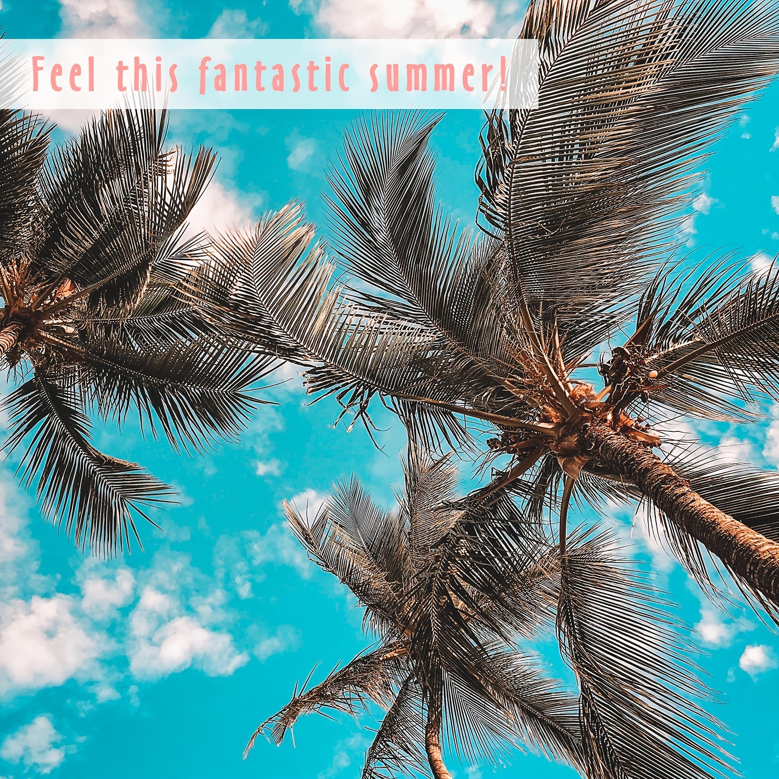 14x0.34oz Summer Fragrance Oil