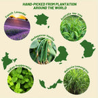 ZENScape Essential Oil Set