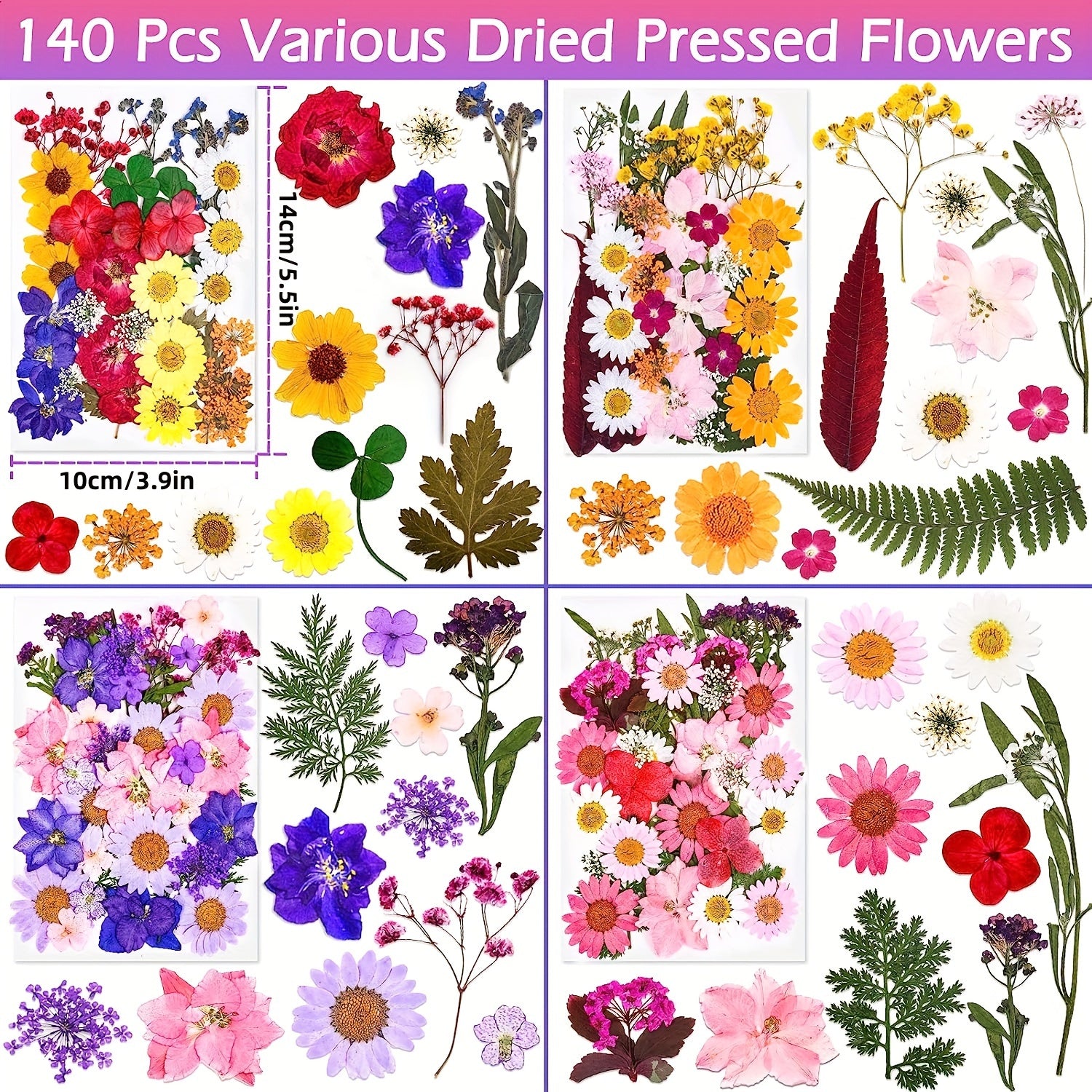 140pcs Premium Pressed Dried Flower Kit