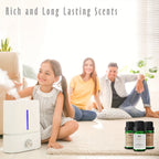 Fragrance Oils, Winter Essential Oils