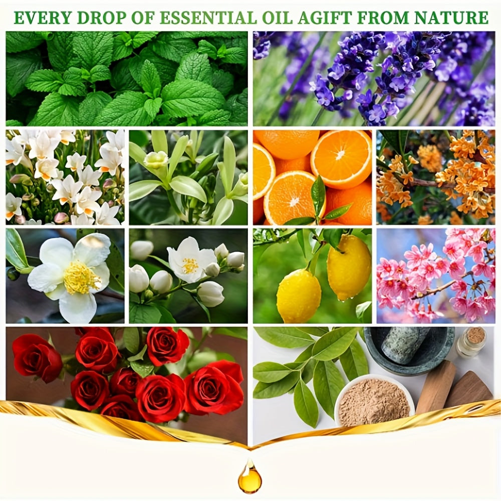 12*0.17oz Essential Oil Set for Essential Oil