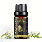 10ml Essential Oil Series