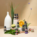ZENScape Essential Oil Set