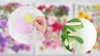 140pcs Premium Pressed Dried Flower Kit
