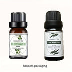 Transform Your Space: Tropical Mango & Pineapple Essential Oil