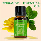 12 Flavors Essential Oils