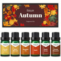 6x0.34oz Autumn Fragrance Oil