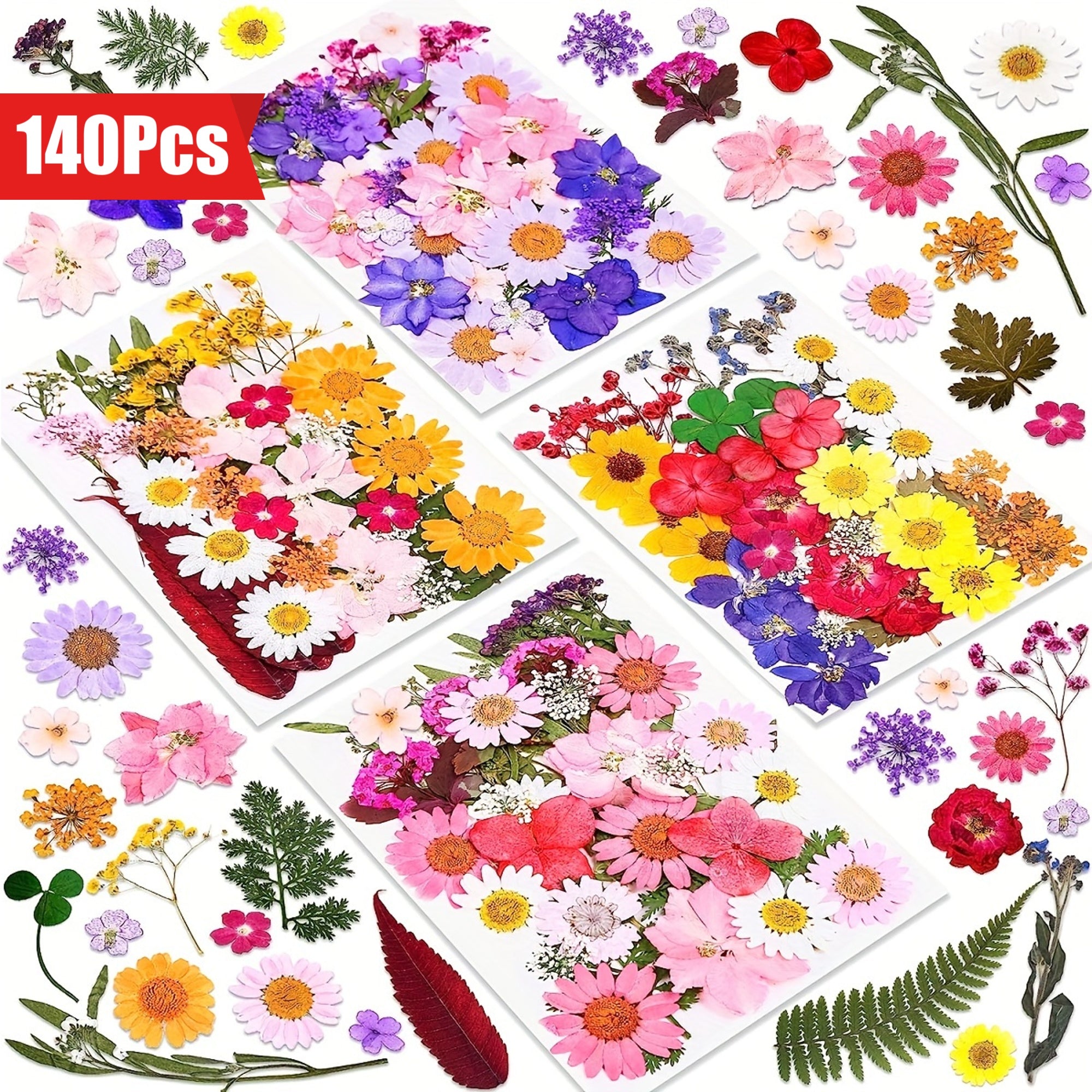 140pcs Premium Pressed Dried Flower Kit