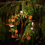 Flowers Wreath Wall Art