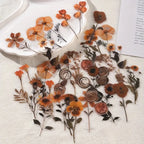 40 pcs Dried Flower Collection Record PET Stickers