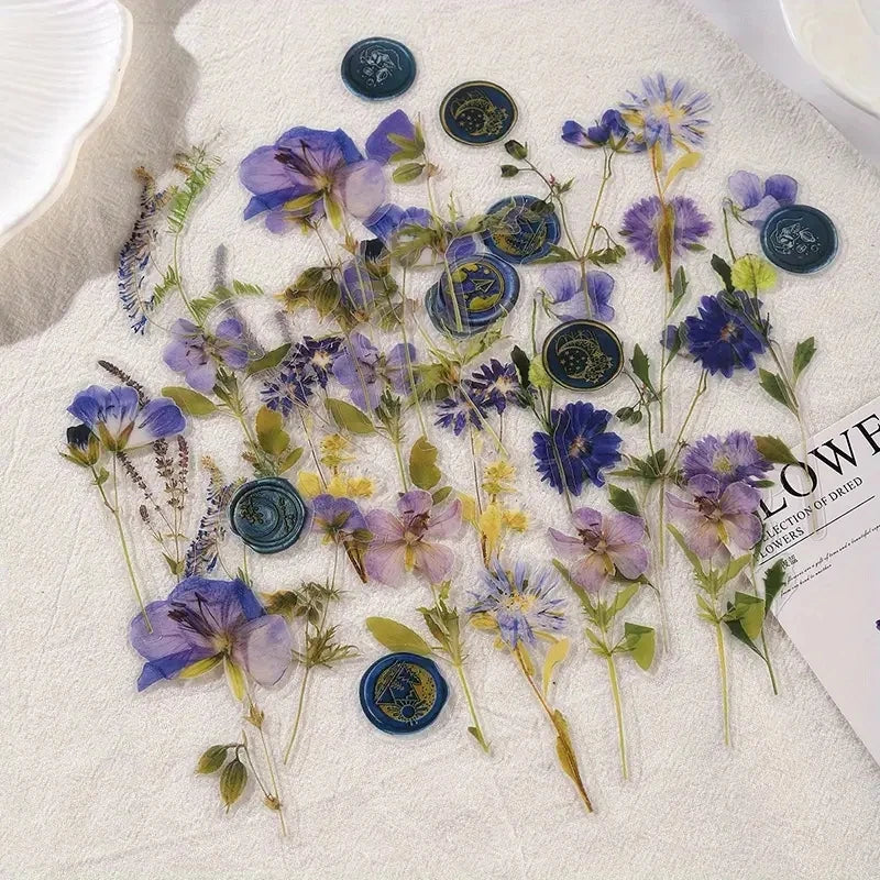 40 pcs Dried Flower Collection Record PET Stickers
