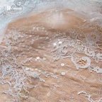 Sparkling Sequins Embroidered on Woven Thin Lace Fabric