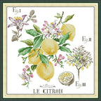 Joy Sunday Cross Stitch Legend - Lemon HD Pattern