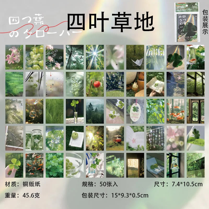 50sheets Scrapbook Background Paper