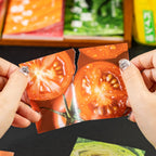 50sheets Memo Material Retro Food Pattern Craft Paper