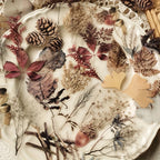 40 pcs Rose Plant PET Stickers Flowers And Leaf Scrapbook