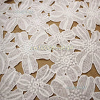 African Lace Fabric