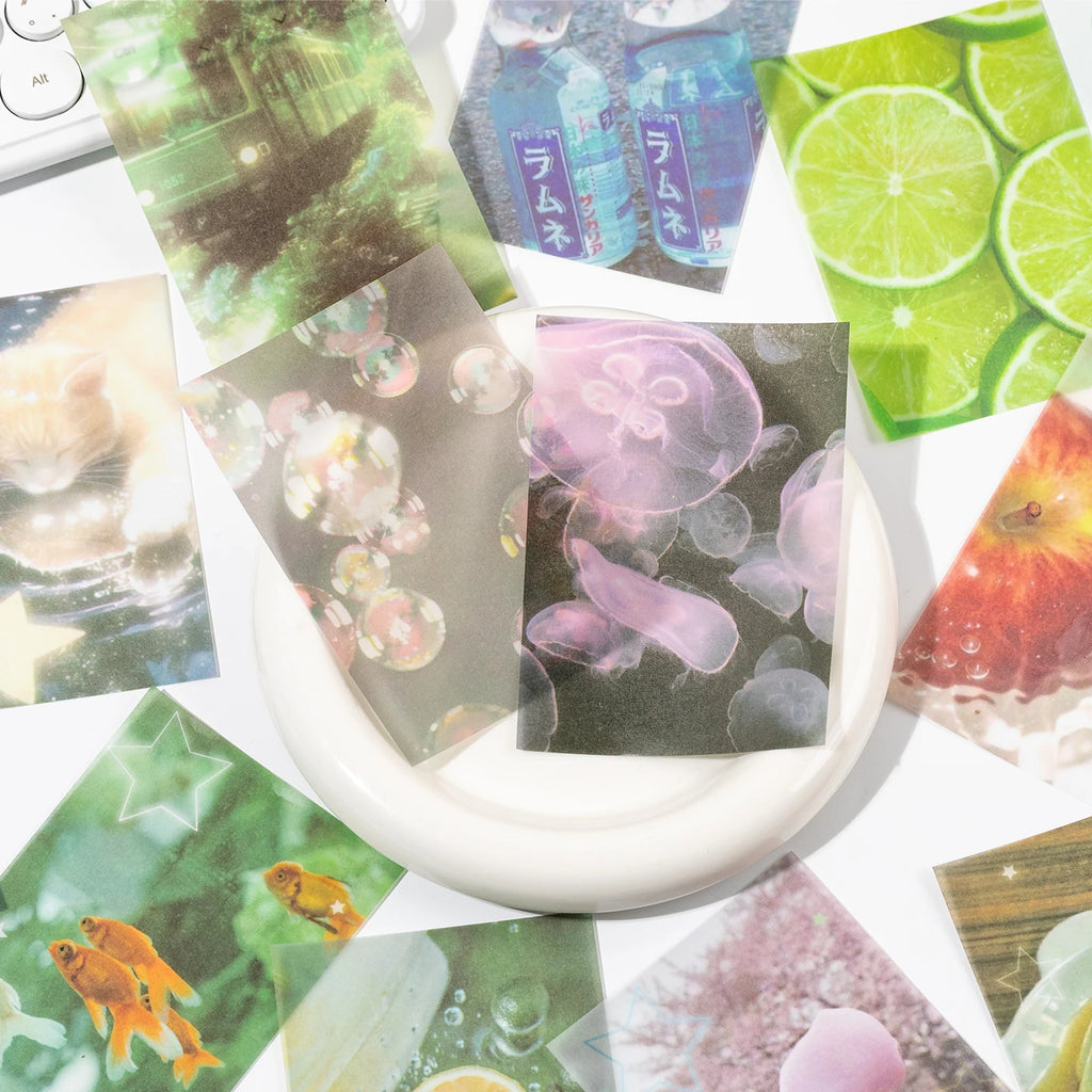 20sheets Summer Art Exhibition Series