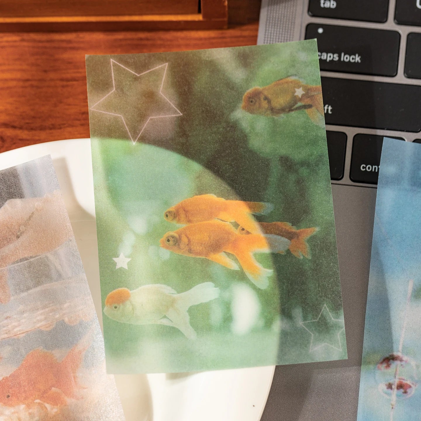 20sheets Summer Art Exhibition Series