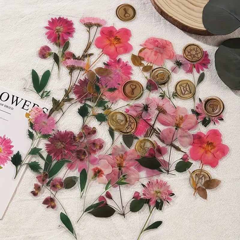 40 pcs Dried Flower Collection Record PET Stickers