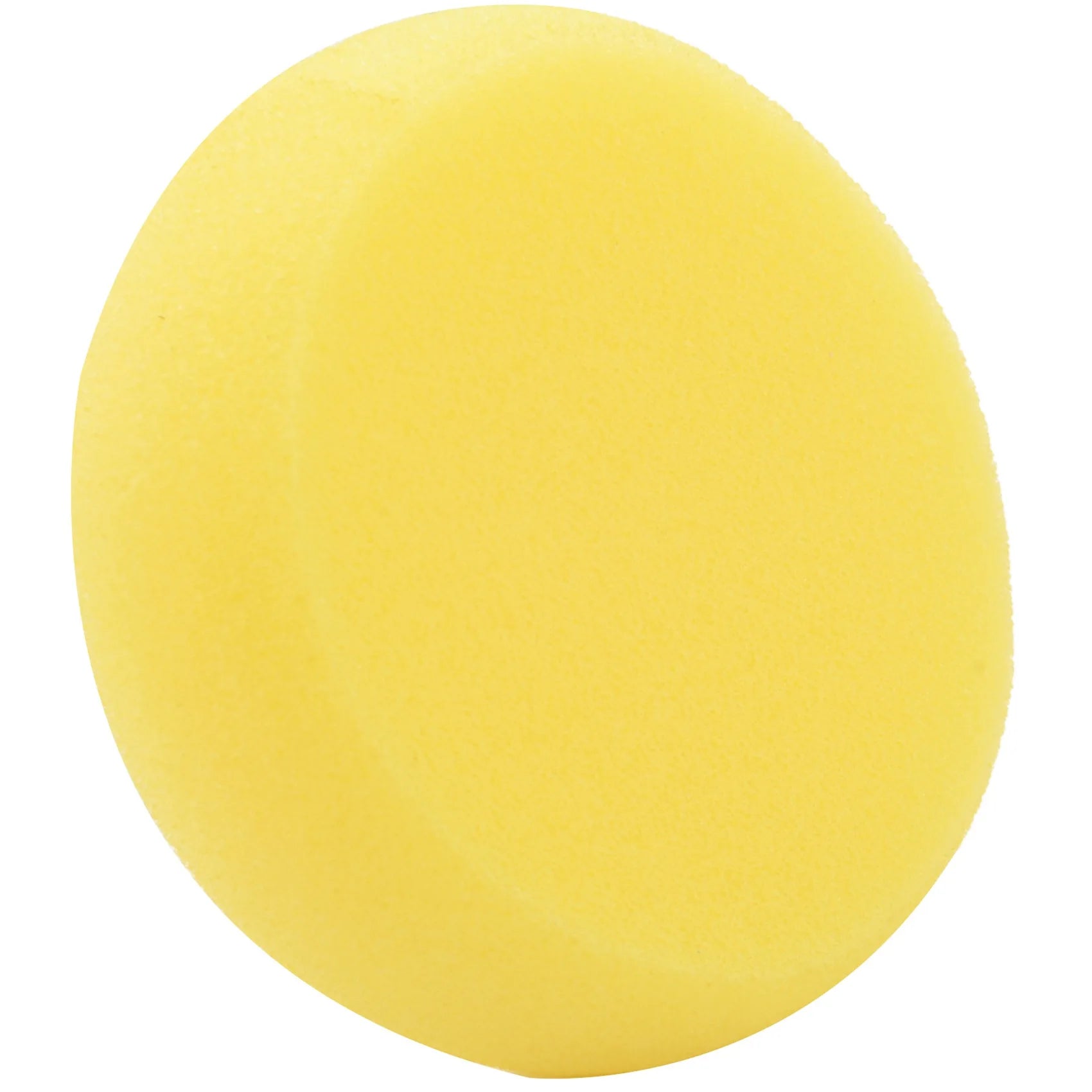 10pcs Round Synthetic Artist Paint Sponge