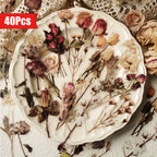 40 pcs Rose Plant PET Stickers Flowers And Leaf Scrapbook