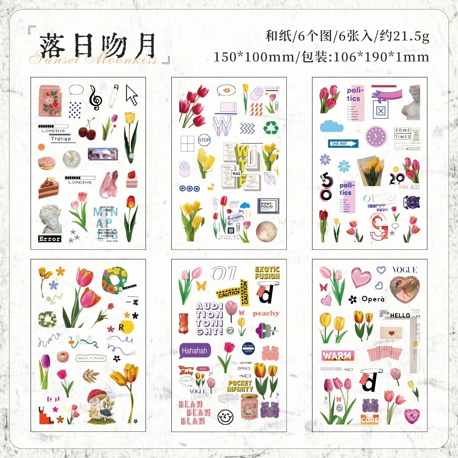 6-Piece Retro Flat Stickers