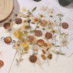 40 pcs Dried Flower Collection Record PET Stickers