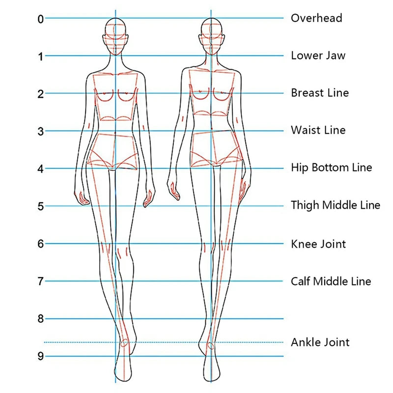 Fashion Illustration Rulers Sketching Templates