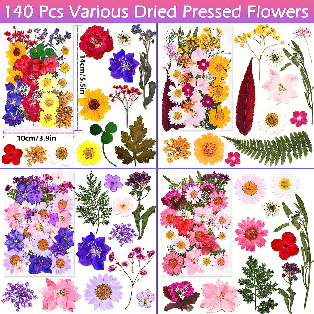 140pcs Premium Pressed Dried Flower Kit
