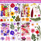 140pcs Premium Pressed Dried Flower Kit