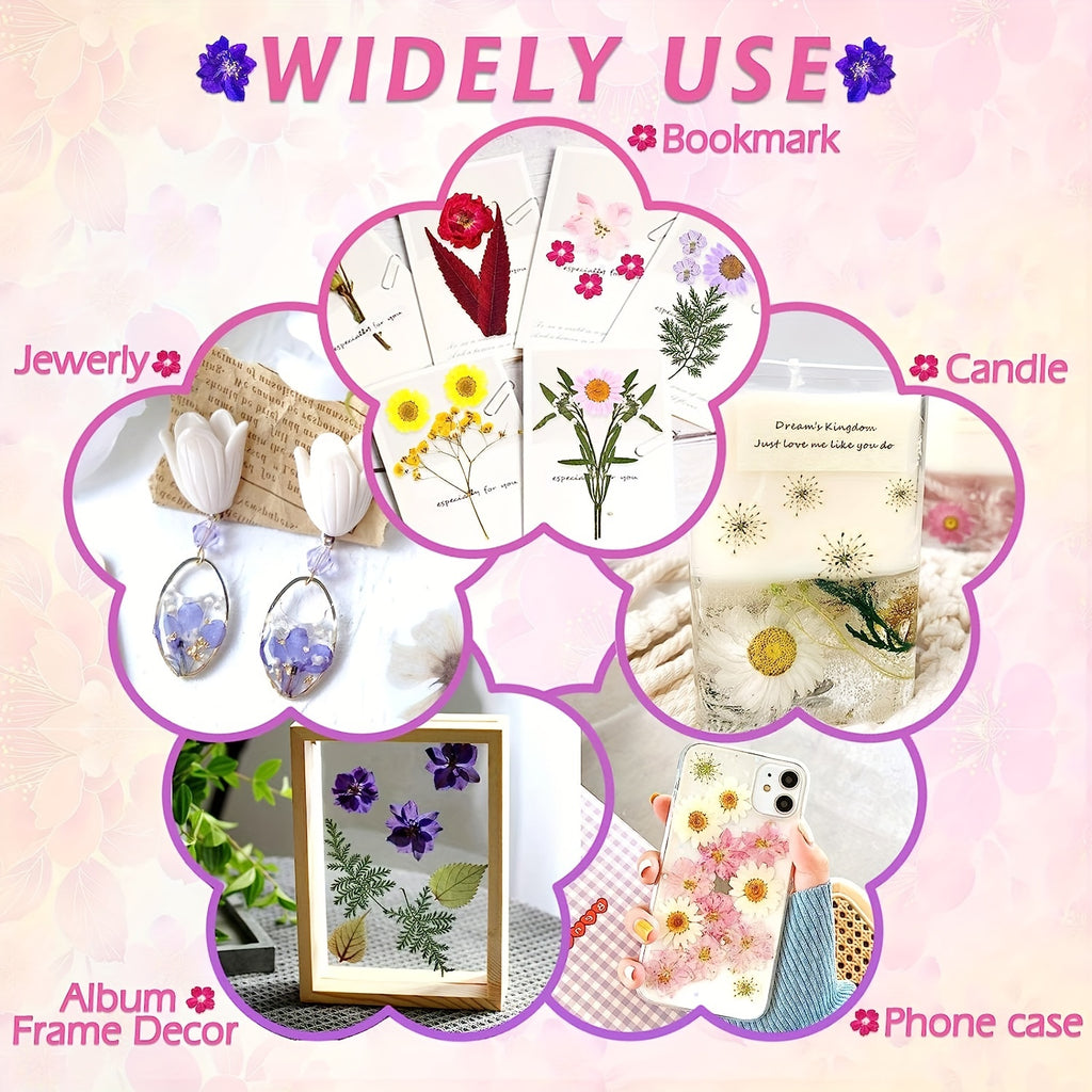 140pcs Premium Pressed Dried Flower Kit