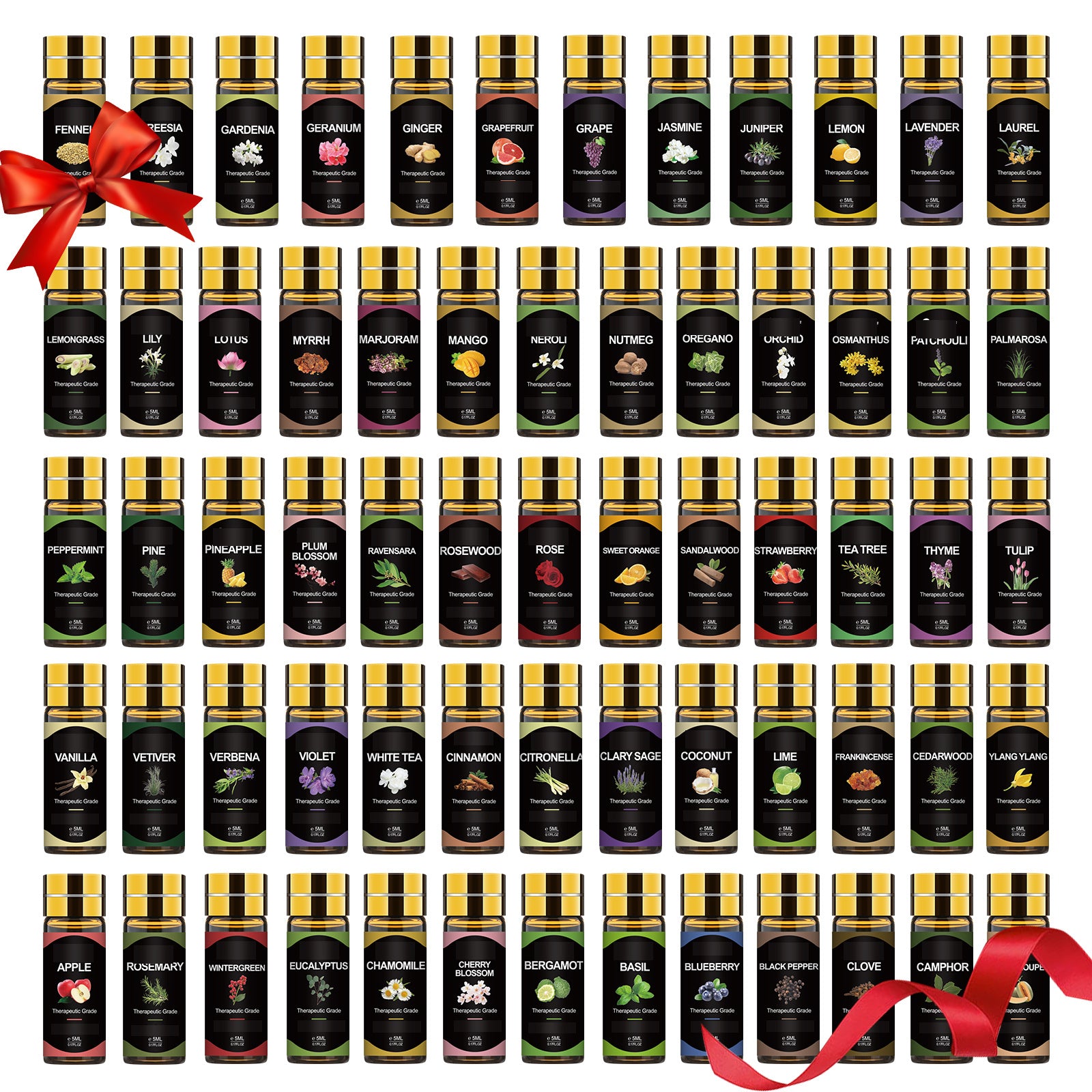 Essential Oils Set (64Pcs)