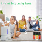 Fragrance Oils, Christmas Set of 6 Premium Scented Oils