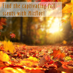 6x0.34oz Autumn Essential Oils for Diffusers for Home