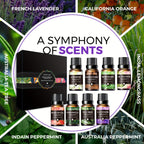 ZENScape Essential Oil Set